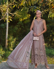 Noor Luxe Chikankaari-D6B