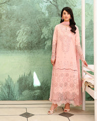 Roheenaz Veil Chikankari Edit-D03