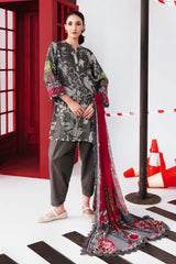 M.Basics Winter-D06A