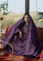Hussain Rehar Winter-Sassi