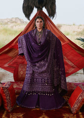 Hussain Rehar Winter-Sassi