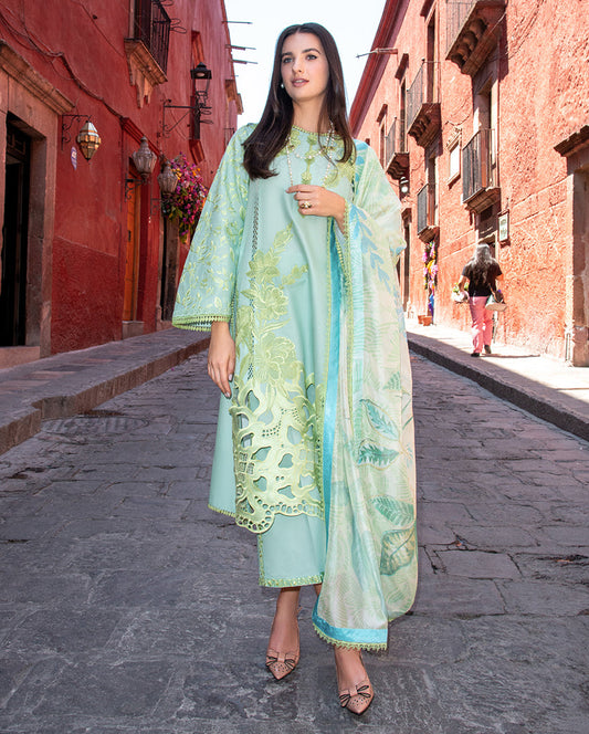 Mushq Odyssey Lawn-D01 Paloma