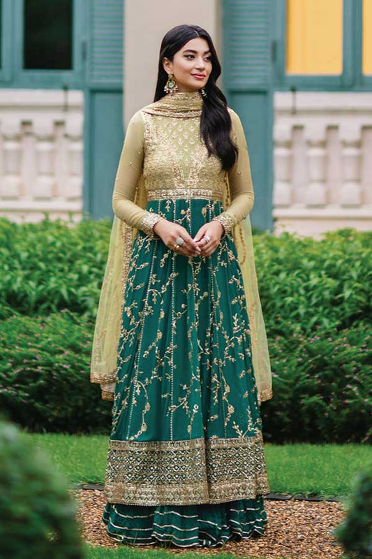 Roheenaz Luxury Kalidaar Chiffon 02 CHANDANI