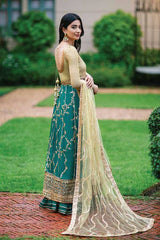 Roheenaz Luxury Kalidaar Chiffon 02 CHANDANI