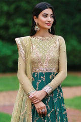 Roheenaz Luxury Kalidaar Chiffon 02 CHANDANI