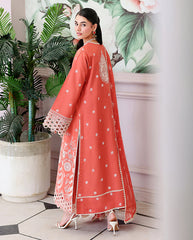 Roheenaz Veil Chikankari Edit-D01