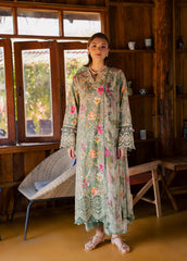 Aabyaan Shezlin Chikankari-AURA