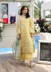 Rang Rasiya Florence Lawn-Yumna