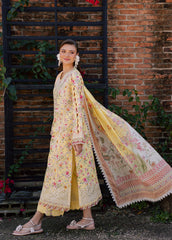 Aabyaan Shezlin Chikankari-ZEHRAAYE