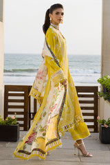 Zellbury Chikankari Cotton-D0073