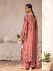 Noor E Chasham Emb Lawn vol 02 D06