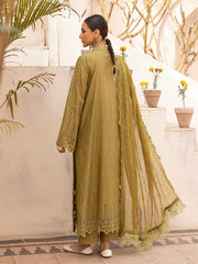 Noor E Chasham Emb Lawn vol 02 D08