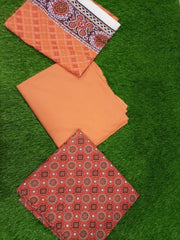 Vichar Wash N Wear Suit D-14