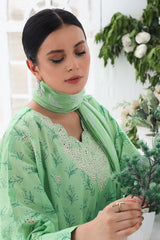 Jaquard Blossom By Rashid D8935