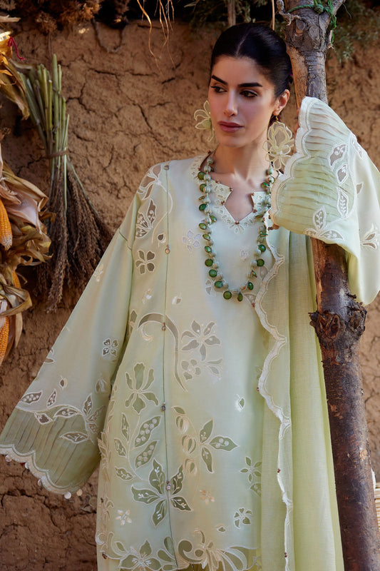 Zaha Lawn-D10 B SHUǏMĚI