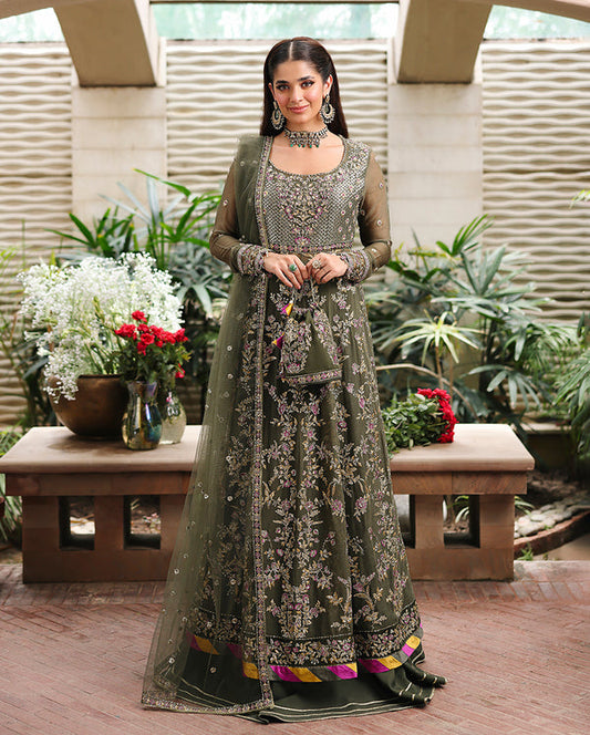 Roheenaz Aangan Chiffon-D04 Mehwar