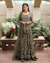 Roheenaz Aangan Chiffon-D04 Mehwar