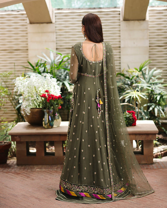 Roheenaz Aangan Chiffon-D04 Mehwar