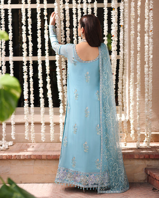 Roheenaz Aangan Chiffon-D06 Wafa