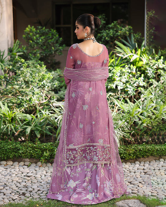 Roheenaz Aangan Chiffon-D02 Arooj