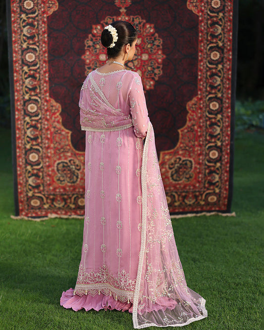 Roheenaz Aangan Chiffon-D05 Naaz