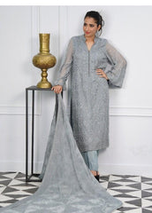 Ameerzadi Luxury Formals-D12