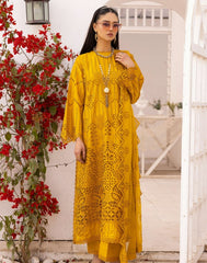 Noor E Chasham Emb Lawn-D02
