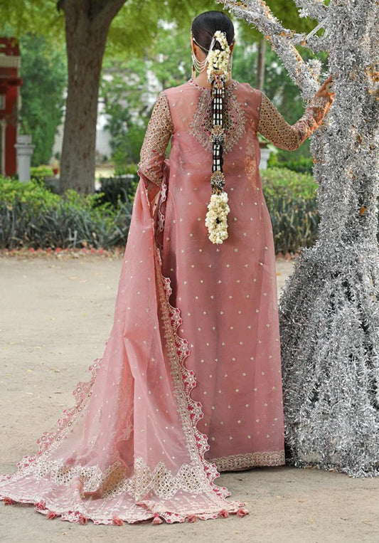 Singhar Wedding Formals-RF-02