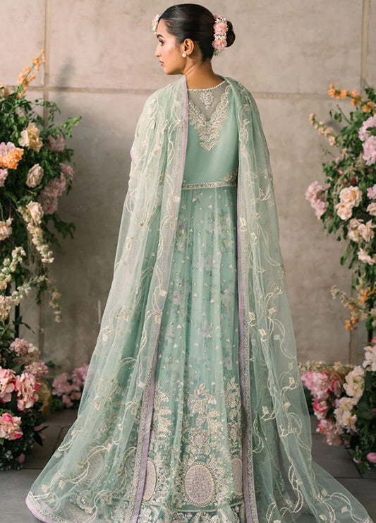 Mushq Mastani Evening Chiffon-D102