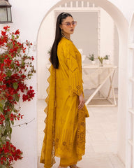 Noor E Chasham Emb Lawn-D02