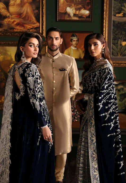 Niloufer Velvet Edition