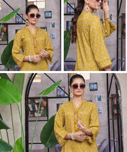 Retro 02pcs RTW Farshi Shalwar Edit-D05