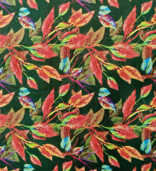 Asifa Noor Lawn-D06