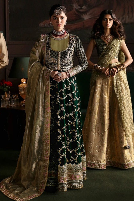 Niloufer Velvet Edition