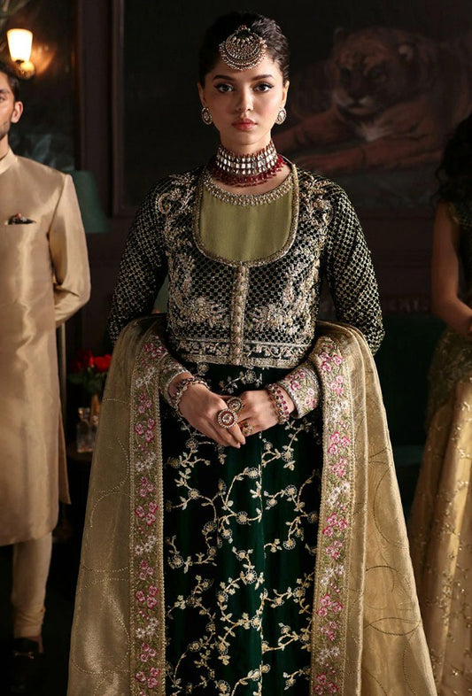 Niloufer Velvet Edition