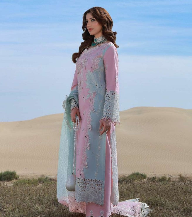 Rang Rasiya Premium Collection-MAHSA