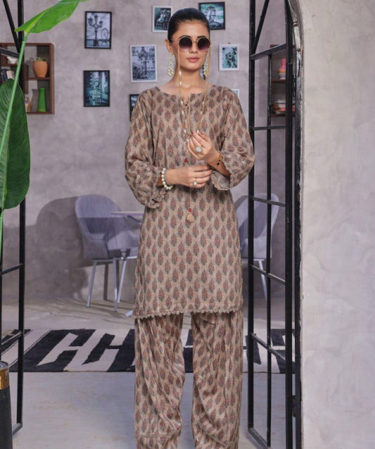 Retro 02pcs RTW Farshi Shalwar Edit-D09