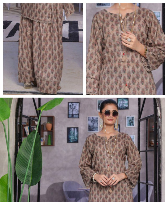 Retro 02pcs RTW Farshi Shalwar Edit-D09