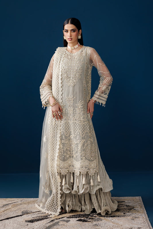 Alizeh Formals-D02 Velor