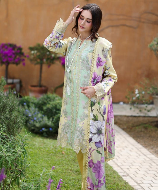 Rang Rasiya Life Style Lawn-D11 Hazel