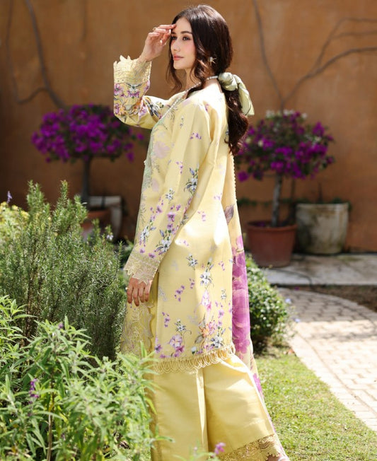 Rang Rasiya Life Style Lawn-D11 Hazel