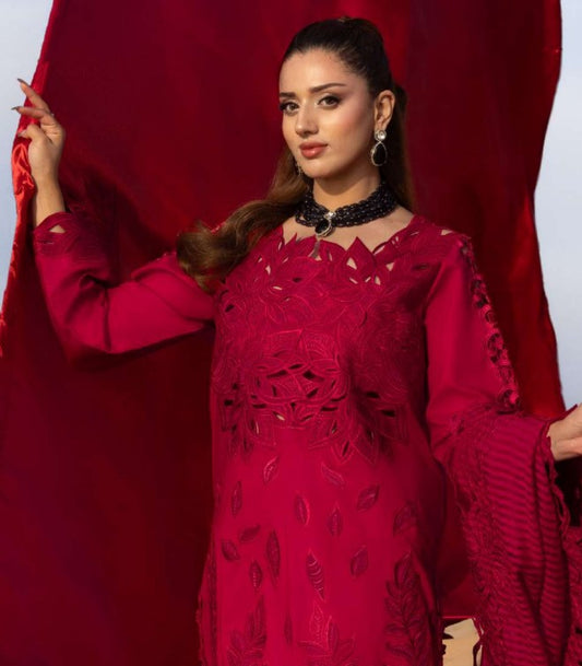 Rang Rasiya Premium Collection-RAMEEN