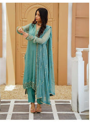 Ameerzadi Luxury Formals-D05