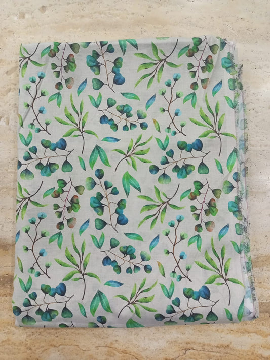 Bin Saeed 02Pcs Printed Lawn-D18
