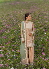 Hussain Rehar The Doll House Festive-Gohar - Ara