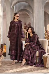 Noor Emb Winter Pashmina Shawl-D10