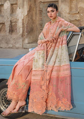 Bloom Saira Shakira Lawn-AMBRE 1B
