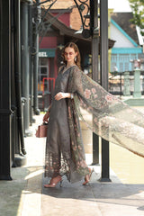Noor Luxe Chikankari-D09