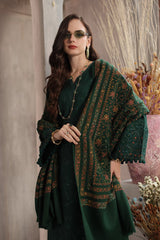 Noor Emb Winter Pashmina Shawl-D04