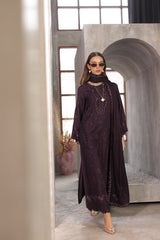 Noor Emb Winter Pashmina Shawl-D06